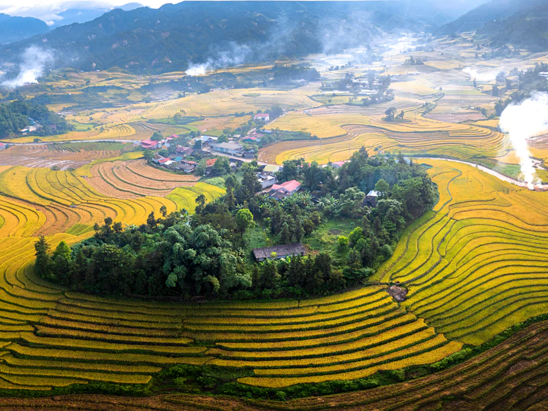 Ruộng bậc thang trên núi cao, nơi trồng lúa nương theo lối tự nhiên